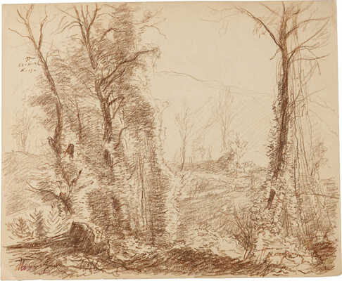 Плещинский Илларион Николаевич. Хоста